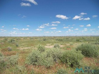 - Poco Loco Rd NE, Deming, NM 88030