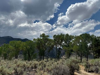 115163 U S 395 Unit 115163, Topaz, CA 96133