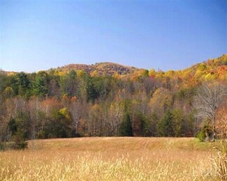 0 May Ln, Roseland, VA 22967