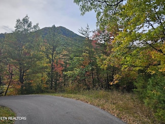 0 Denton Ct, Sevierville, TN 37862