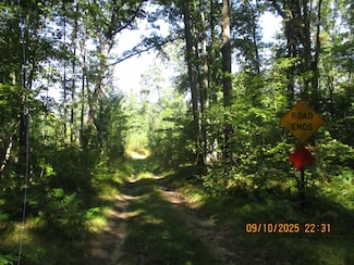 00 Fire Lane Trail, Lincoln Township, MI 48633