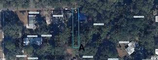 0 NW 157 Ave, Alachua, FL 32615