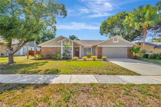 2515 Arborwood Dr, Valrico, FL 33596