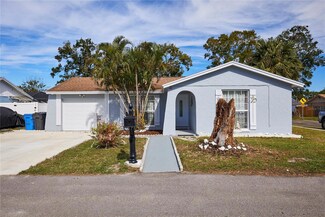 10111 Lazy Creek Ct, Tampa, FL 33615