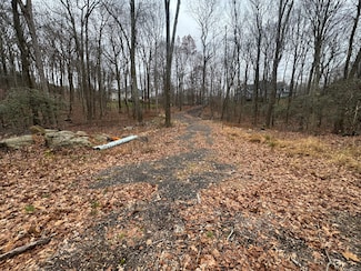 31 Oak Ridge Dr, New Town, CT 06470