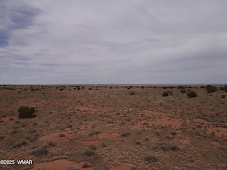 5473 Tbd White Antelope Rd, Snowflake, AZ 85937