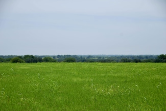 Company Field Rd, Schulenburg, TX 78956