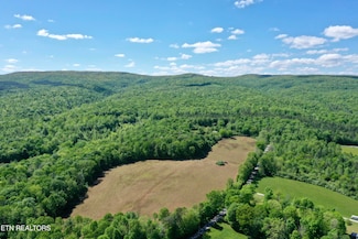 777 Wma Rd, Rockwood, TN 37854