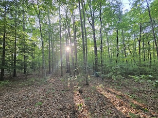3 Woodfern Ln, Coalmont, TN 37313