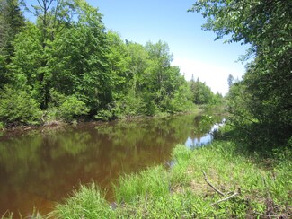 12.5 acres E Branch Tahquamenon River Unit 12.5 acres, Hulbert, MI 49748