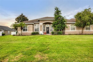 13702 Sand Bluff Ln, Grand Island, FL 32735