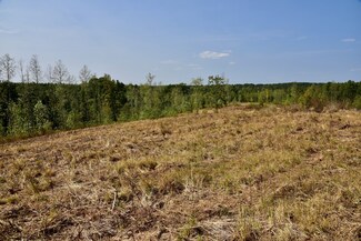 0 Scarborough Hollow Rd, Tennessee Ridge, TN 37178