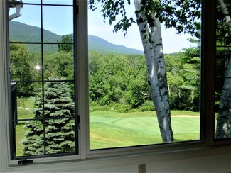 225 Kestrel Ct Unit F-11, Manchester, VT 05255