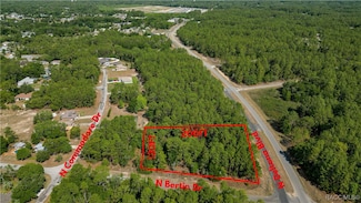 9232 N Bertin Dr, Citrus Springs, FL 34434