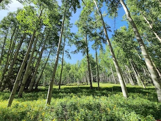 TBD 6th St, Jasper, CO 81144