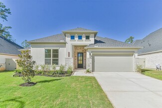 40011 Parkside Oaks Way, Pinehurst, TX 77362