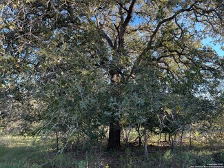 20 County Road 412, Stockdale, TX 78160