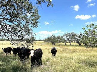 LOT5 S Ranch Road 783 Unit 5, Harper, TX 78631