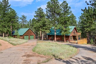 104 Six Bits St, Bailey, CO 80421