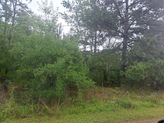01 Big Phils Ct, Santee, SC 29142