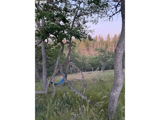 31 Columbia Hills Ln, Goldendale, WA 98620