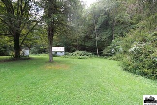 8251 Big 7 Mile Rd, Lesage, WV 25537