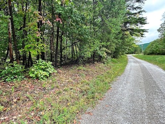 000 Junior Oaks Rd, Blairs, VA 24549