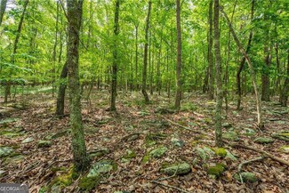 307 Stonehaven Ct, Jasper, GA 30143