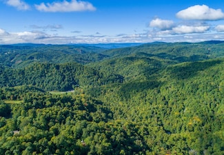 663 Bear Paw Rd, Elk Park, NC 28622