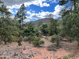 108 W Ruin Hill Loop, Pine, AZ 85544