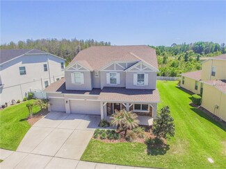4080 Windcrest Dr, Wesley Chapel, FL 33544