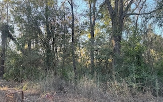 TBD SW 83rd Ave, Trenton, FL 32693