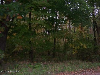 8100 Lake Montcalm Rd NW, Lakeview, MI 48850