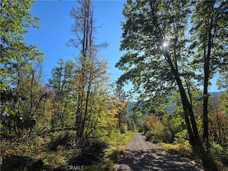 0 Muledeer Dr, Weed, CA 96094