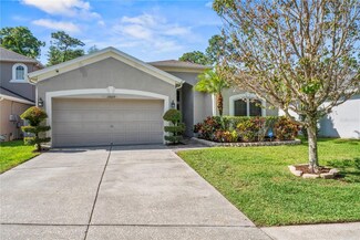13439 Staghorn Rd, Tampa, FL 33626