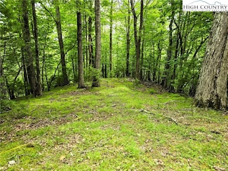 7 Brightwood Trail S, Deep Gap, NC 28618