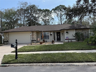 3404 Brian Rd S, Palm Harbor, FL 34685