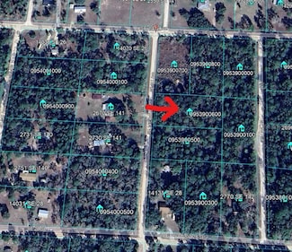 TBD SE 141 Ave, Williston Highlands, FL 32668