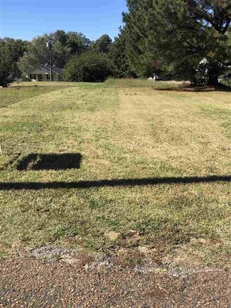 417 Hall Alley, Covington, TN 38019
