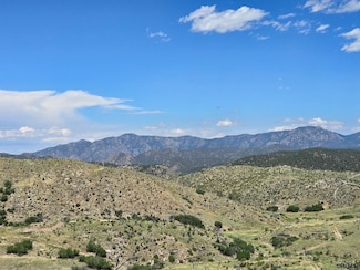 TR-73 31st Trail, Cotopaxi, CO 81223