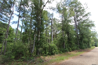 0 Aunt Margies Rd, Greensburg, LA 70441