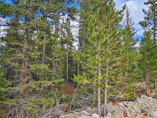 100 Miners Way, Fairplay, CO 80440