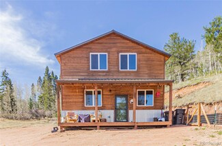 213 Willow Rd, Divide, CO 80814