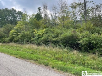0 Godfrey Hollow Rd Unit R1592004, Olean-Town, NY 14760