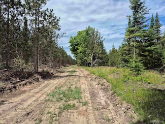 80 acres Little Harbor Rd, Manistique, MI 49854