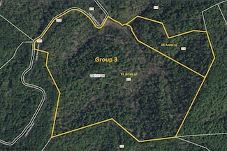 Parcel 22 Little Rowels Run, Creston, WV 26141