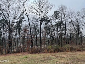 0 NW Millard Beets Rd Unit 1213445, Knoxville, TN 37909