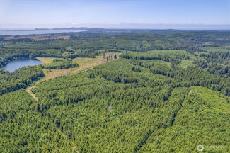 0 Walberg Rd Unit NWM2397686, Chinook, WA 98614