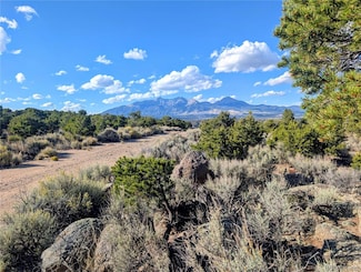 Lot 2434 Simone Rd, Sangre de Cri, CO 81133
