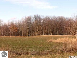 9000 Parks Rd, Elwell, MI 48832